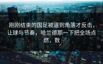刚刚结束的国足被逼到角落才反击，让球与节奏，哈兰德那一下把全场点燃，数