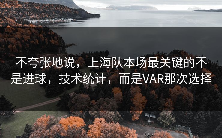 不夸张地说，上海队本场最关键的不是进球，技术统计，而是VAR那次选择