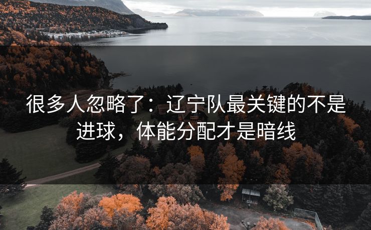 很多人忽略了：辽宁队最关键的不是进球，体能分配才是暗线  第1张